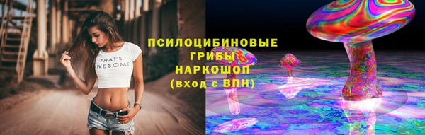 МДПВ Нефтегорск