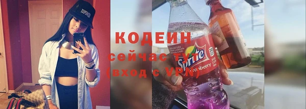 прущие грибы Бердск