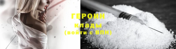 прущие грибы Бердск