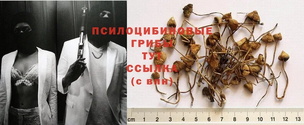 прущие крисы Наволоки