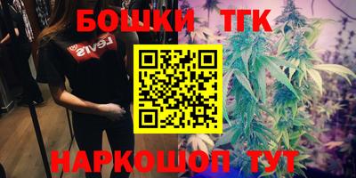 гашик Донецк