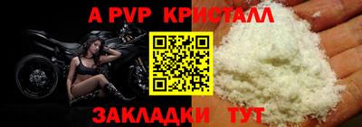 гашик Донецк