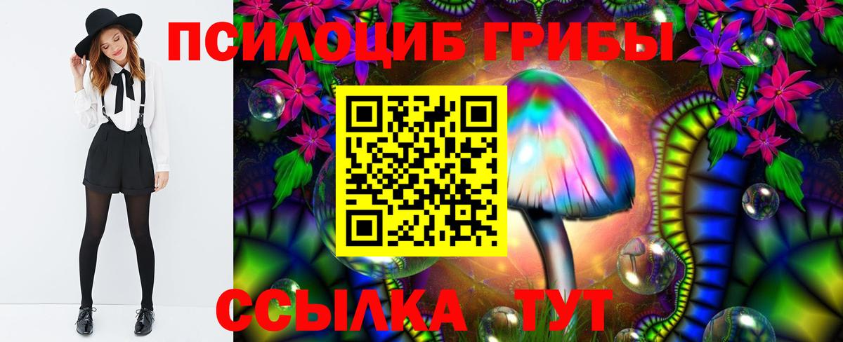 Псилоцибиновые грибы Cubensis Нижнеудинск